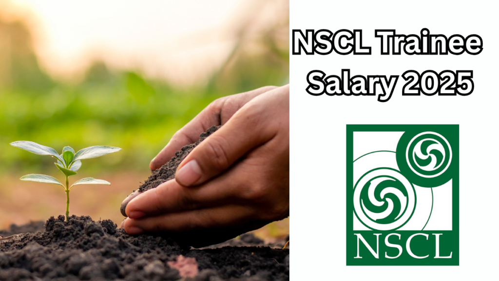 NSCL Trainee Recruitment 2025: A Golden Opportunity to Grow with the Government