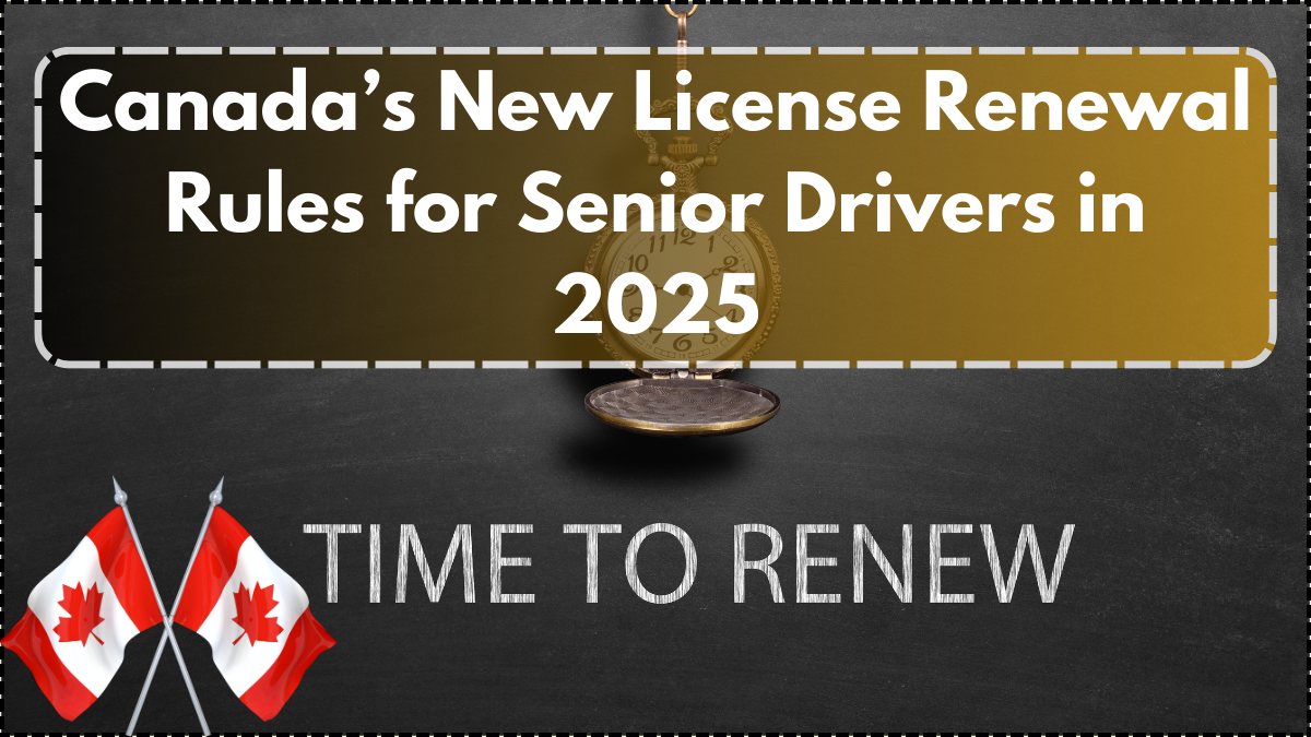 Canada’s New License Renewal Rules for Senior Drivers in 2025 – Full Details Inside