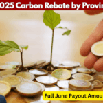 Full List of Canada Carbon Rebate Amounts by Province – June 2025 Update
